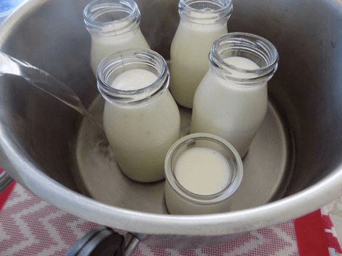 ủ sữa chua mít trong nồi cơm điện